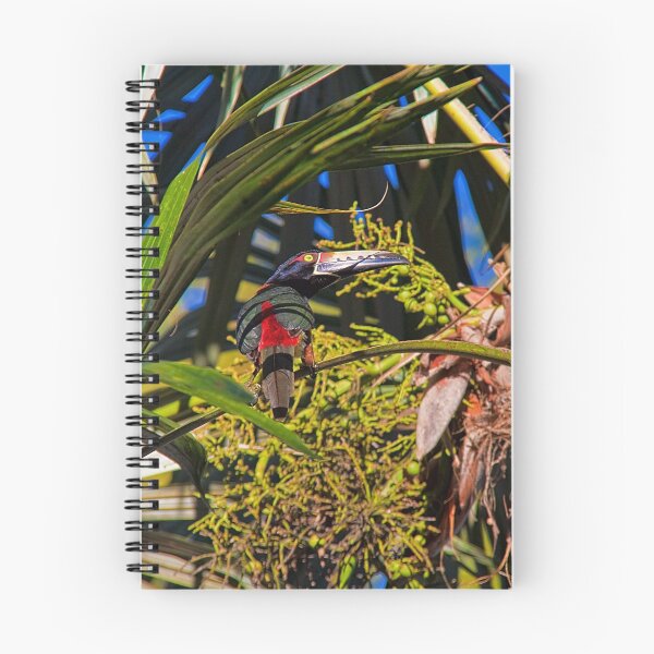 Item preview, Guatemala. Tikal National Park. Toucanet. designed and sold by vadim19.