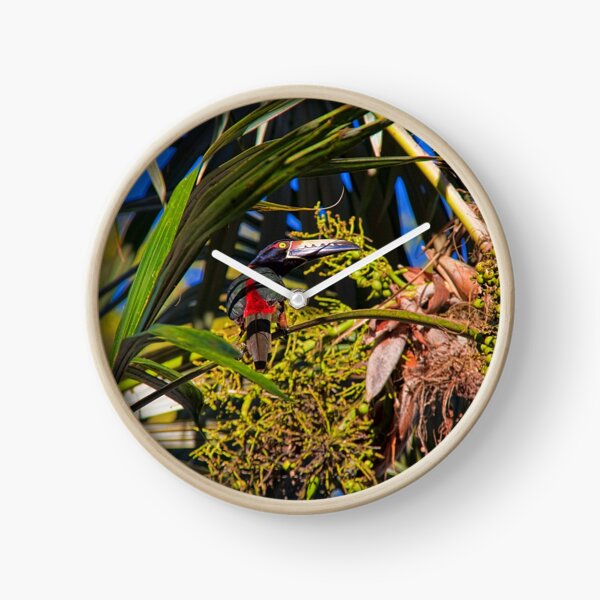Item preview, Guatemala. Tikal National Park. Toucanet. designed and sold by vadim19.
