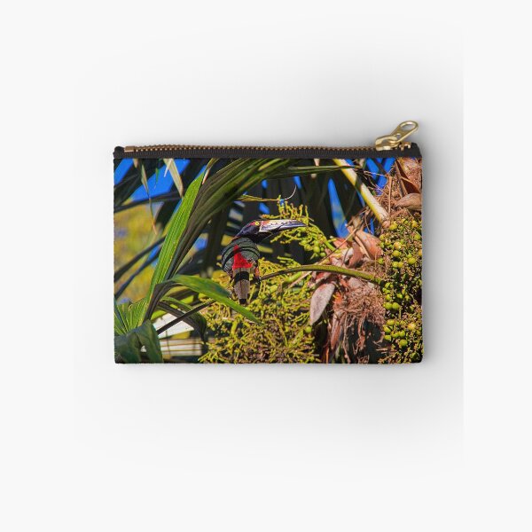 Item preview, Guatemala. Tikal National Park. Toucanet. designed and sold by vadim19.