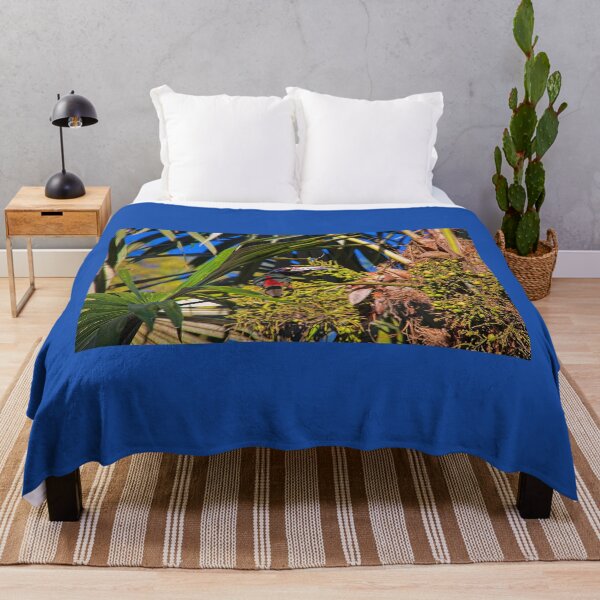 Item preview, Guatemala. Tikal National Park. Toucanet. designed and sold by vadim19.