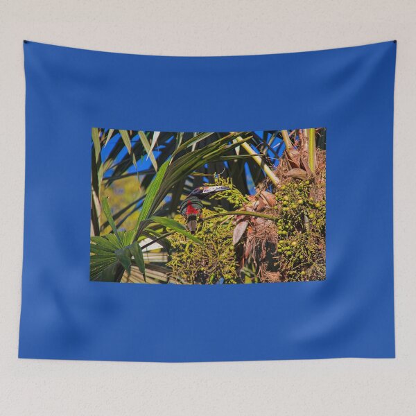 Item preview, Guatemala. Tikal National Park. Toucanet. designed and sold by vadim19.