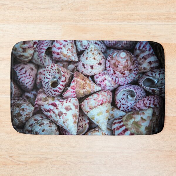 Item preview, Sea Shells designed and sold by Dave Hare Photography.