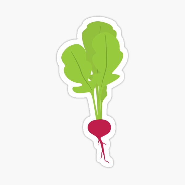Fresh Radish Sticker