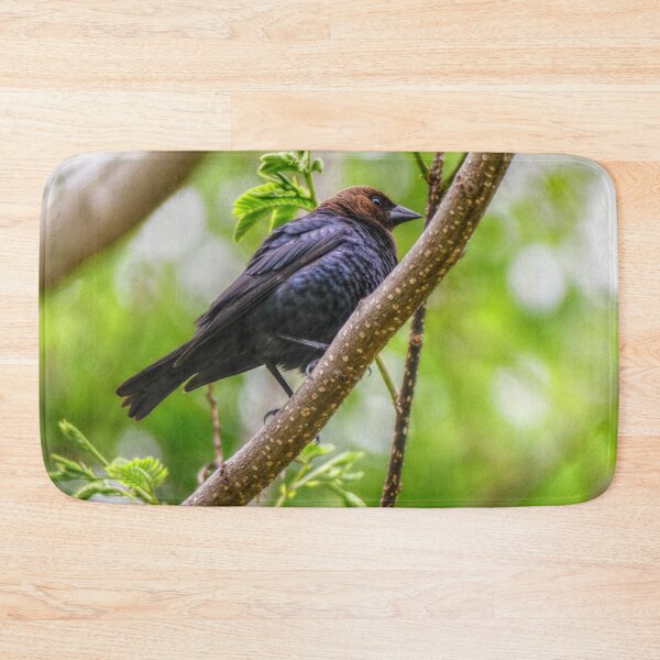 Item preview, Brown Headed Cowbird designed and sold by Frankie Cat Photography.