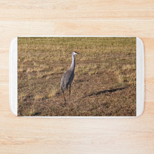 Item preview, Sandhill Crane 3 - Florida designed and sold by jtrommer.