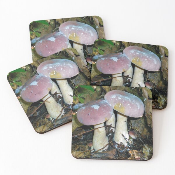 Item preview, Pale Pink Bolete Mushrooms designed and sold by mikeymadness.