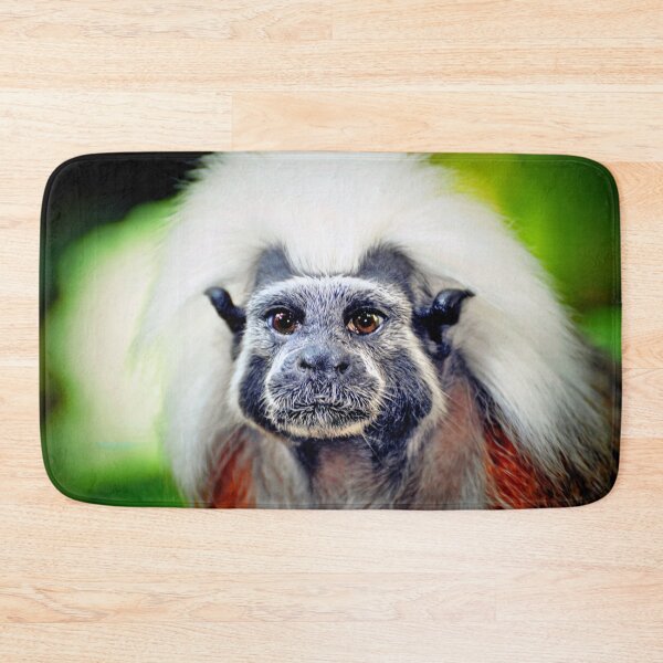Item preview, Cotton-headed Tamarin  designed and sold by Savannah Gibbs.