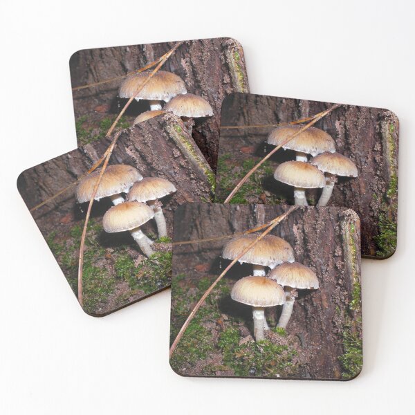 Item preview, Brown Mushroom Trio Growing On Moss designed and sold by mikeymadness.