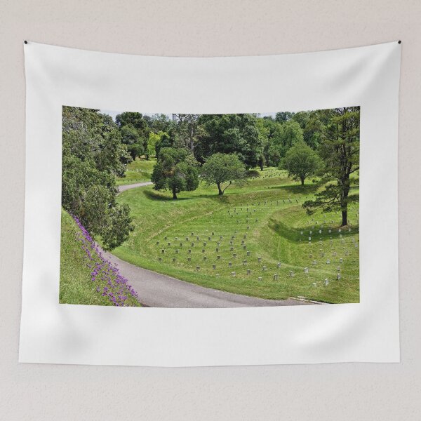 Item preview, Vicksburg National cemetery 4 designed and sold by jtrommer.