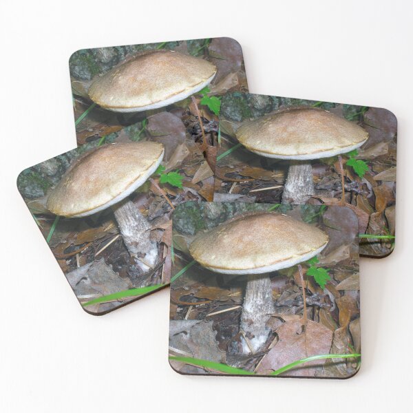Item preview, Brown Bolete Mushroom designed and sold by mikeymadness.
