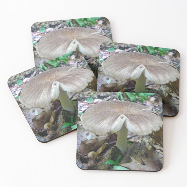 Item preview, Big Brown And White Mushroom With Split Cap designed and sold by mikeymadness.