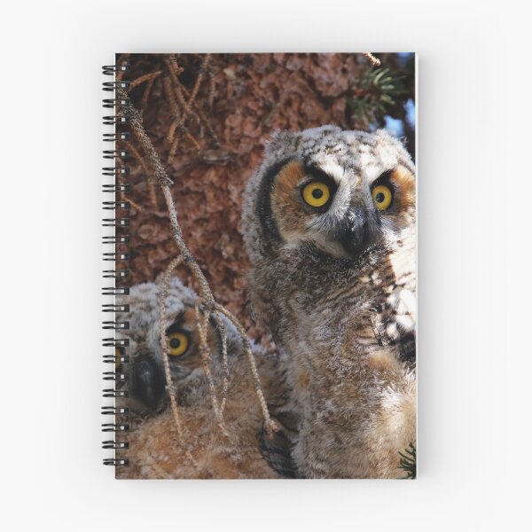 Item preview, Siblings designed and sold by Alyce Taylor.