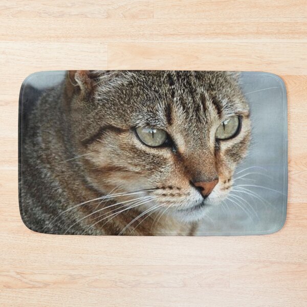 Item preview, Stunning Tabby Cat CloseUp Photo Portrait designed and sold by taiche.