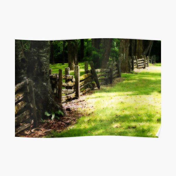 Country Park - Chehalis, Wa Poster