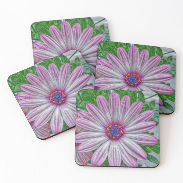 Item preview, daisy oseospermum designed and sold by AidaArt.