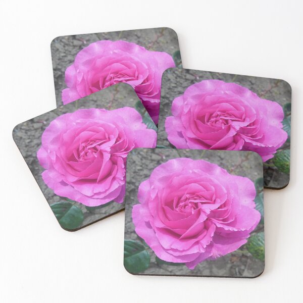 Item preview, Pink rose in sunshine :) designed and sold by LittleBettyMakes.
