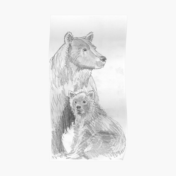Grizzly Bear Cub Drawing Poster By Mikejory Redbubble