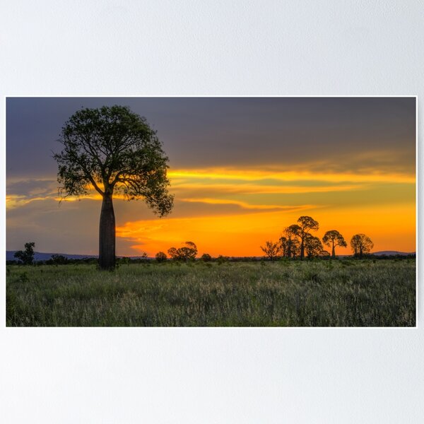 Item preview, Sunset at Moura designed and sold by Steve Bass.