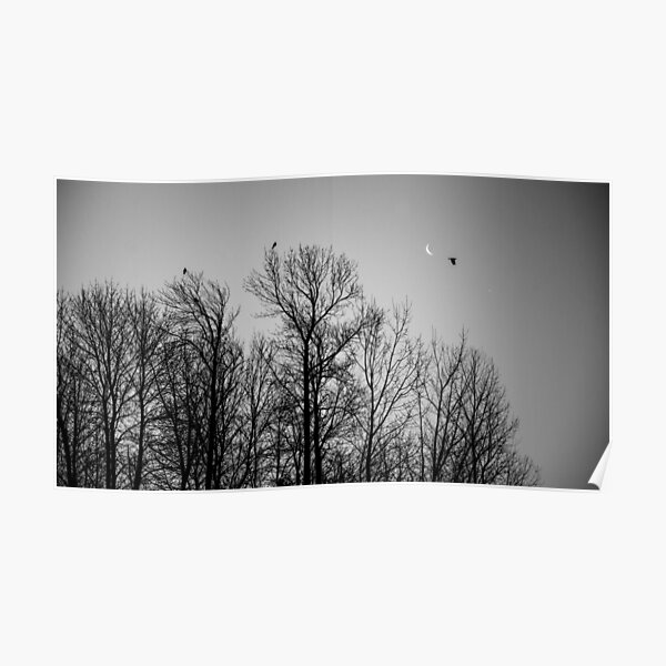 Winter is to long Poster