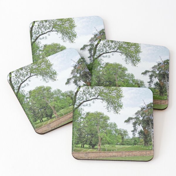 Item preview, Vicksburg National Cemetery 1 designed and sold by jtrommer.