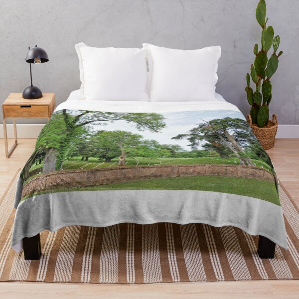 Item preview, Vicksburg National Cemetery 1 designed and sold by jtrommer.