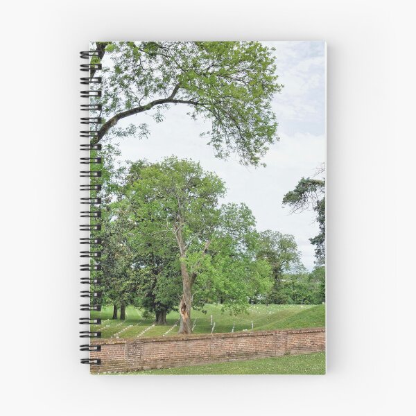 Item preview, Vicksburg National Cemetery 1 designed and sold by jtrommer.