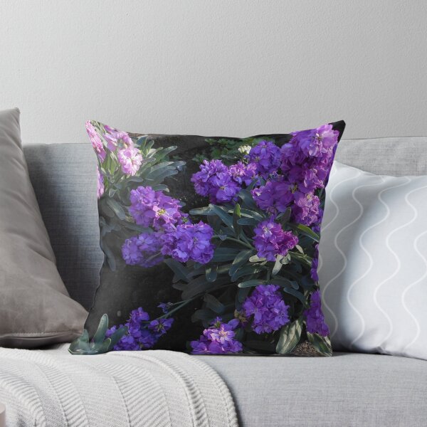 Item preview, Scented Stocks at Sunrise designed and sold by SunriseRose.