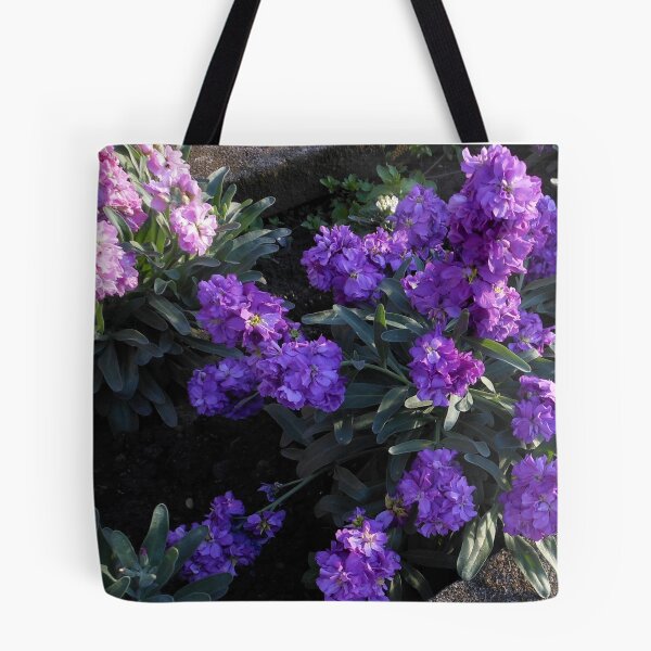 Item preview, Scented Stocks at Sunrise designed and sold by SunriseRose.