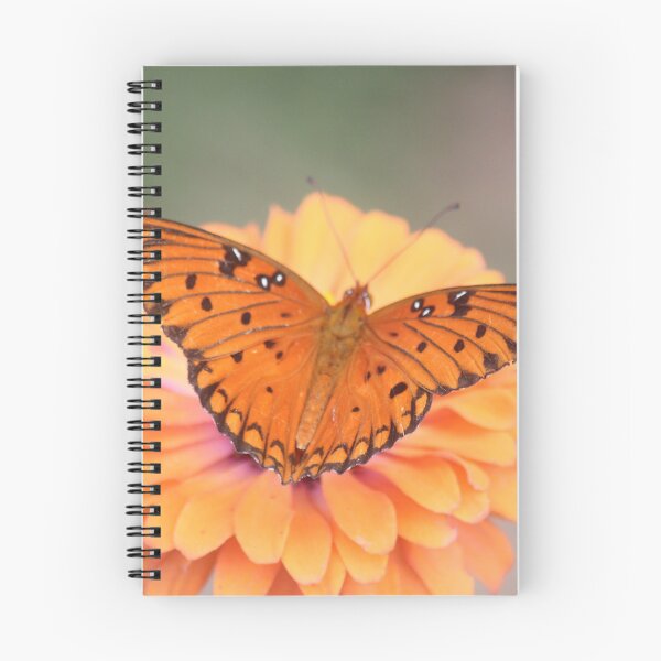 Item preview, Gulf Fritillary Zinnia designed and sold by Bob Hardy.