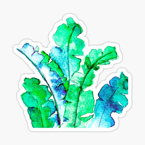 Bananen Blätter Tropisch Sticker