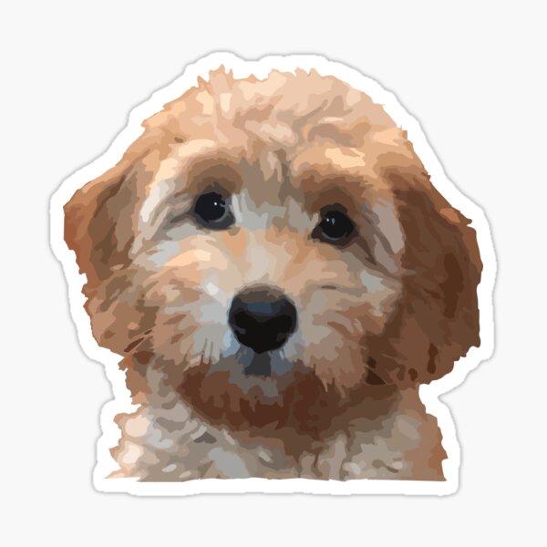 Vista previa del artículo con la obra «Elle Doodle - Pegatina de perro Goldendoodle Golden Doodle», diseñado y vendido por efdesigns.