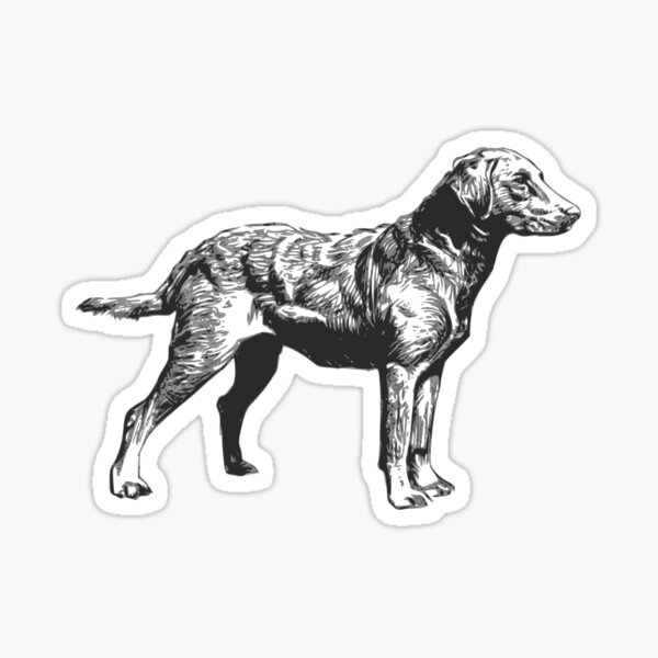 Item preview, Lined dog designed and sold by rice-shirts.
