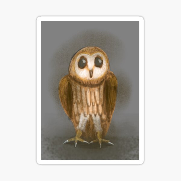 Barn Owl Sticker