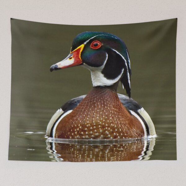 Item preview, Wood Duck on Water designed and sold by mwagie.