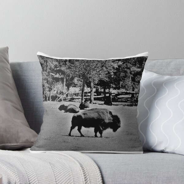 Aperçu de l'œuvre Buffalo's de l'Île-du-Prince-Édouard créée et vendue par Richard W J Conyard.