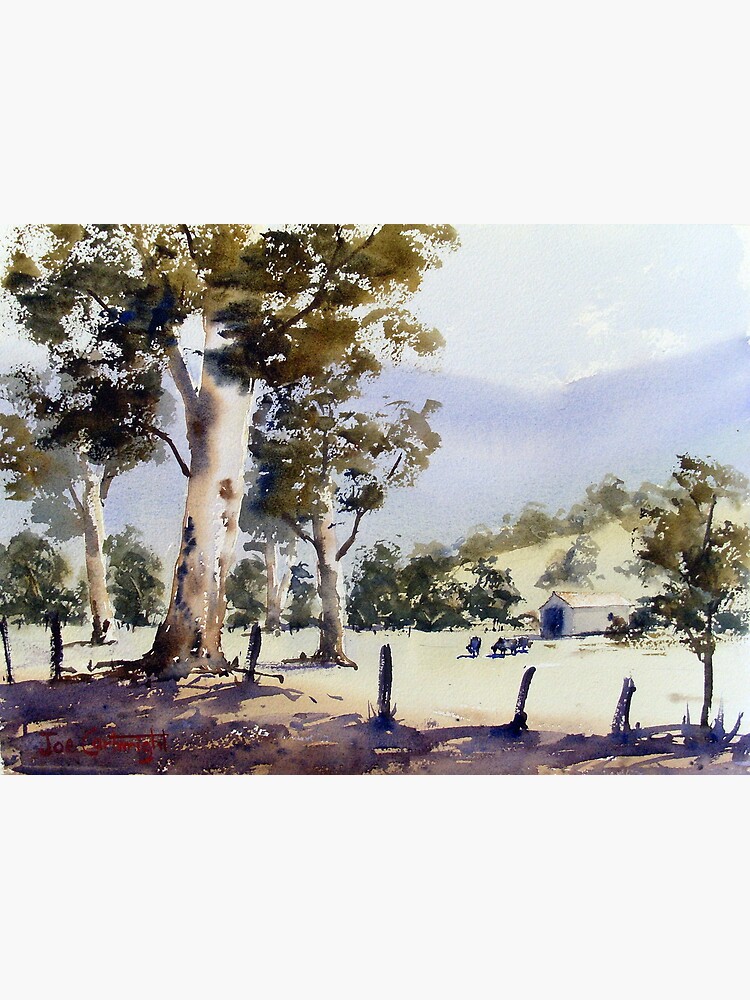 Road to Dunn's Swamp, NSW by Joecart