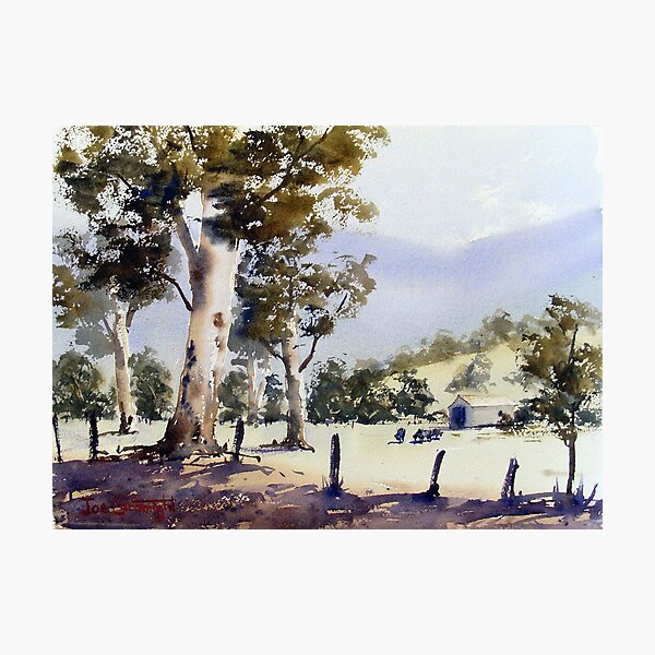 Road to Dunn's Swamp, NSW Photographic Print