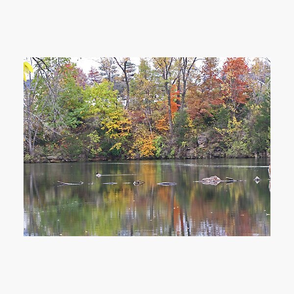 Item preview, Gorgeous Autumn Scene Reflecting on Pond with Goose designed and sold by adriturner.