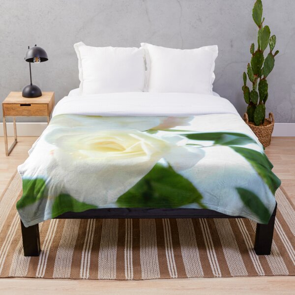 Item preview,  white rose  Jimbour QLD Australia designed and sold by Amanda Marchant Fine Art Photography.