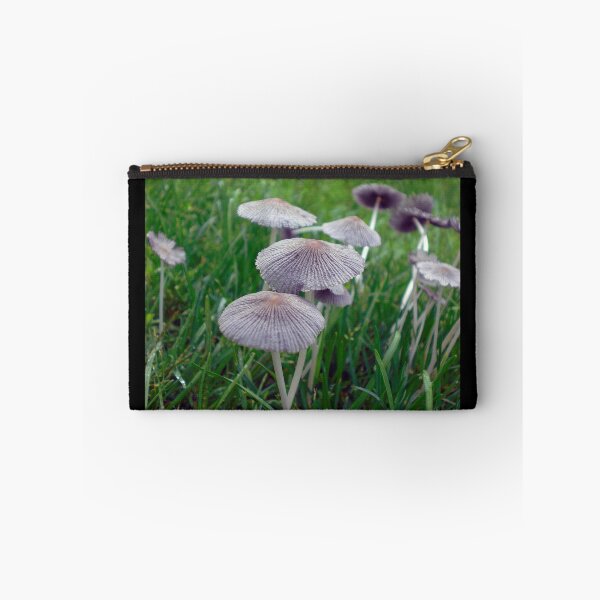 Item preview, Brittle Mushrooms That Look Like Hats designed and sold by mikeymadness.