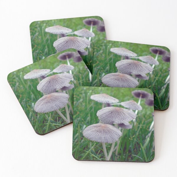 Item preview, Brittle Mushrooms That Look Like Hats designed and sold by mikeymadness.
