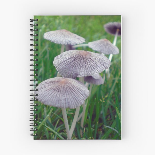 Item preview, Brittle Mushrooms That Look Like Hats designed and sold by mikeymadness.