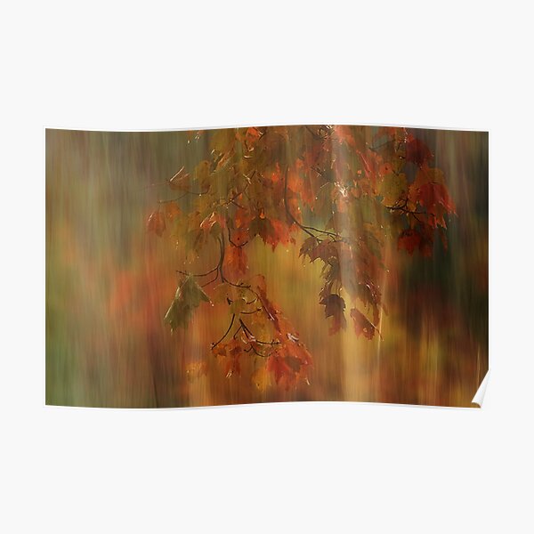 Autumn Fire Poster