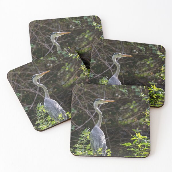 Item preview, Gray heron on the edge of a pond designed and sold by brambillasimone.