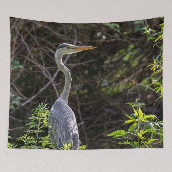 Item preview, Gray heron on the edge of a pond designed and sold by brambillasimone.