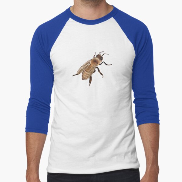 Honeybee | Apis mellifera Baseball ¾ Sleeve T-Shirt