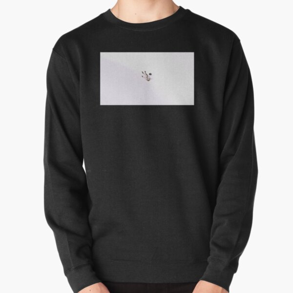 Daniel Caesar: Pink Pilgrim's Paradise Pullover Sweatshirt