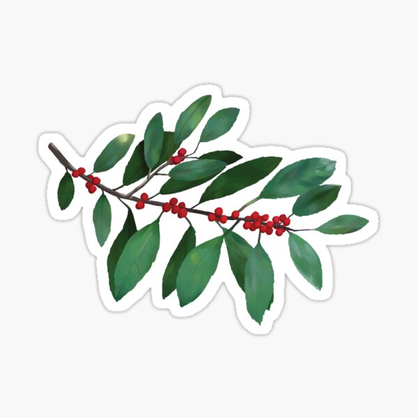 Item preview, Winterberry | Ilex verticillata designed and sold by 13sparrows.