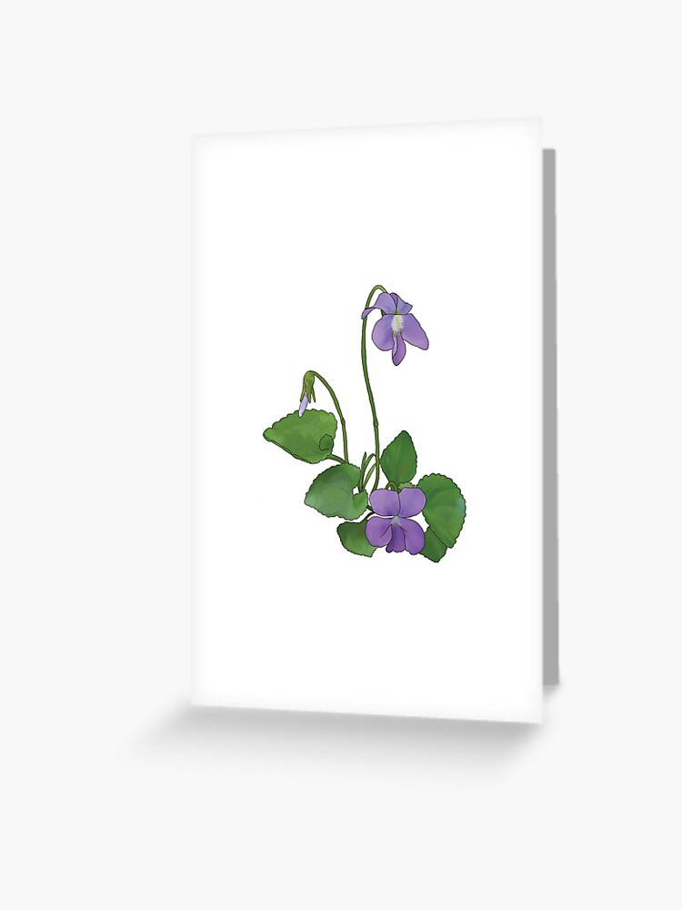 Tarjetas de felicitación «Violeta salvaje» de 13sparrows | Redbubble