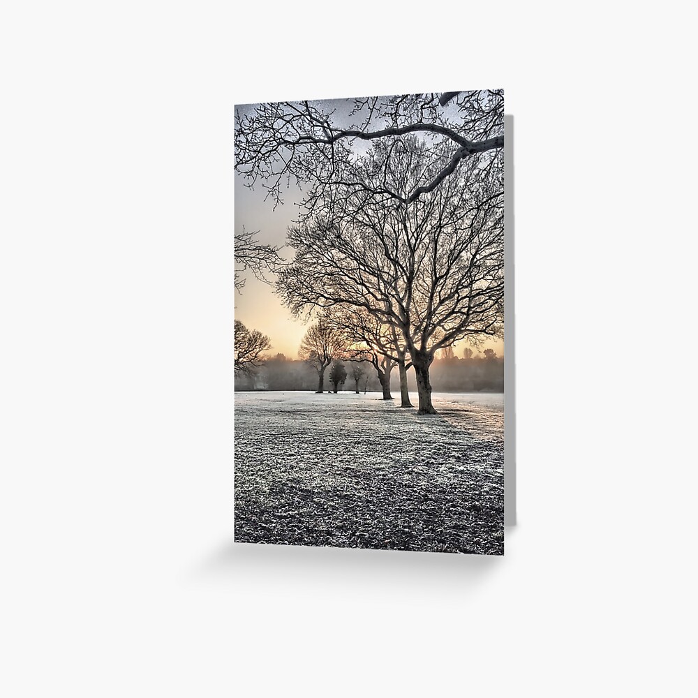 HDR Frosty Morning 2 Greeting Card